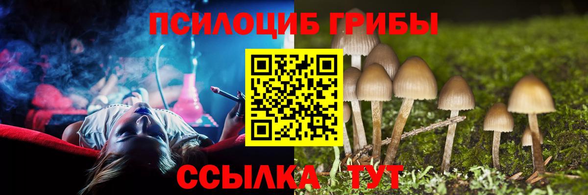 Кореновск  Галлюциногенные грибы MAGIC MUSHROOMS  Вход с VPN 